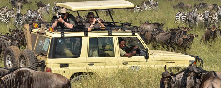 3-Day Group Tour to Serengeti Park and Ngorongoro Crater