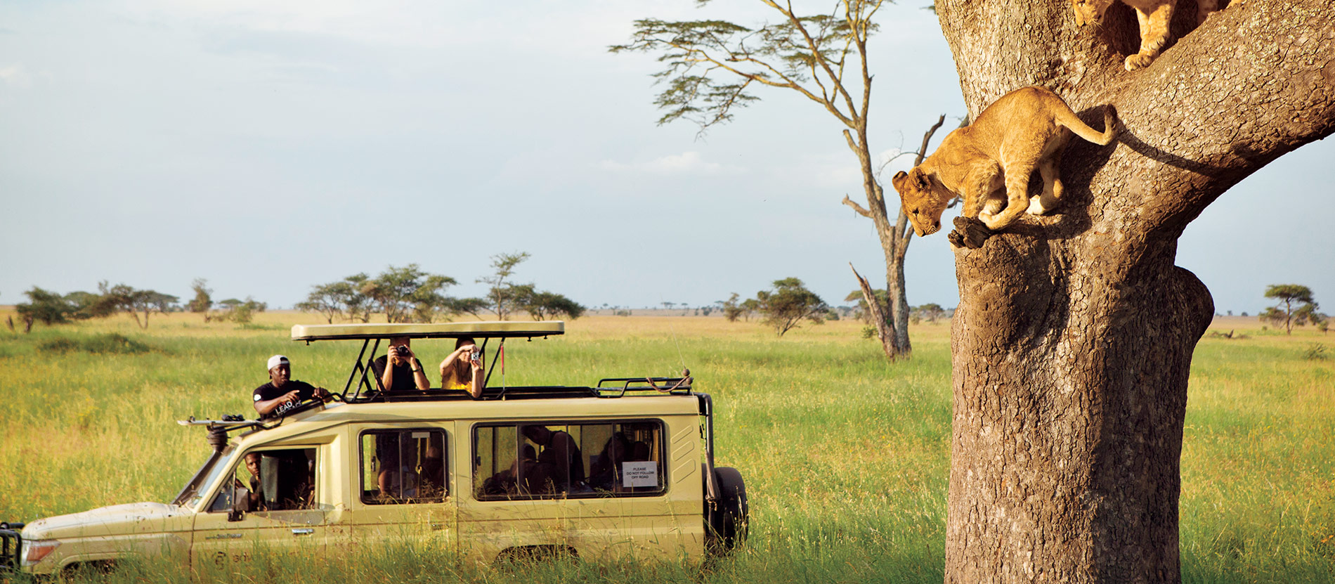Affordable Tanzania safari