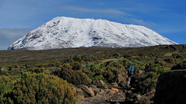 10-day Climb Kilimanjaro Crater route + 2 nights hotel stay