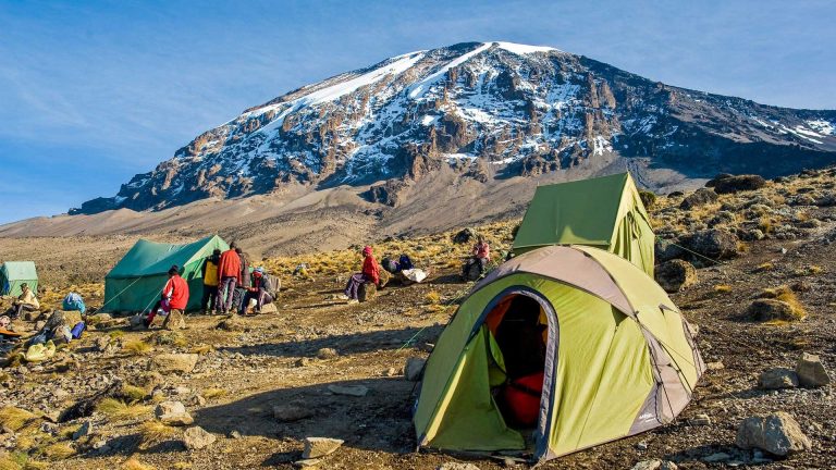 6 Day Kilimanjaro treks via Lemosho route + 2 nights hotel stay
