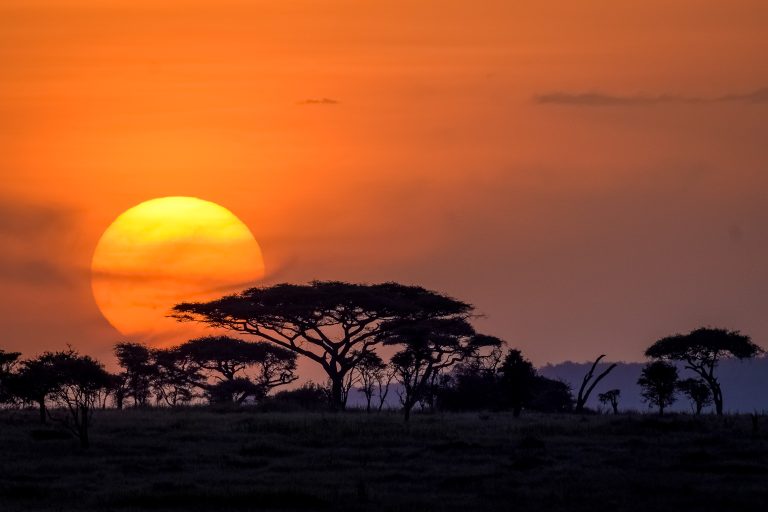 “Exploring the Best Lodges in Serengeti National Park”