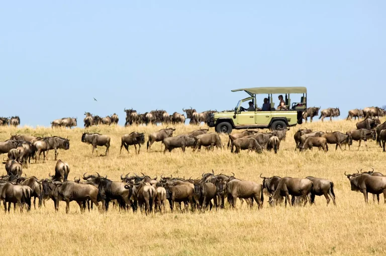 4-Day Introducing Tanzania Safari