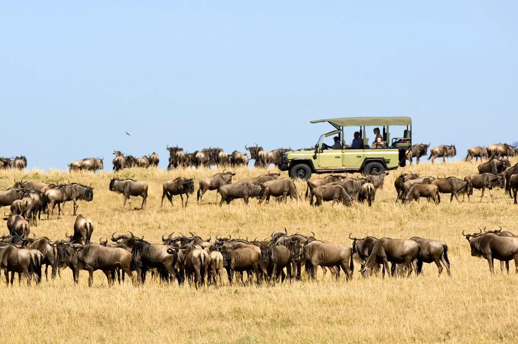 4-day Introducing Tanzania safari
