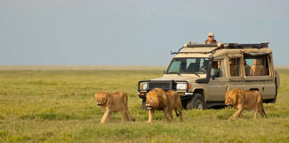 2-Day Luxury Fly in- Fly out