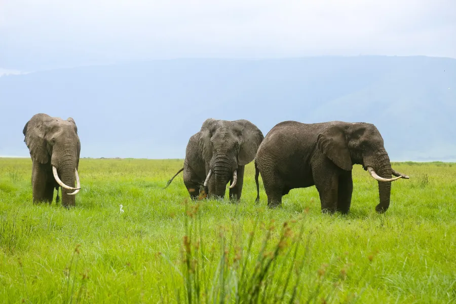 2-Day Luxury Fly in- Fly out