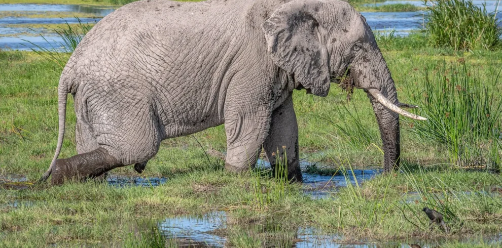 3-Day Group Tour to Serengeti