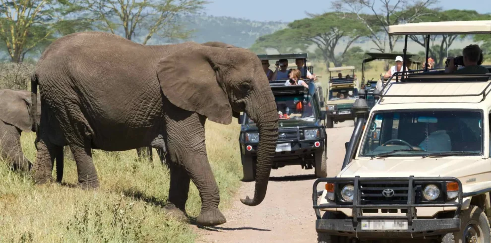 3-Day Short Tanzania Safari