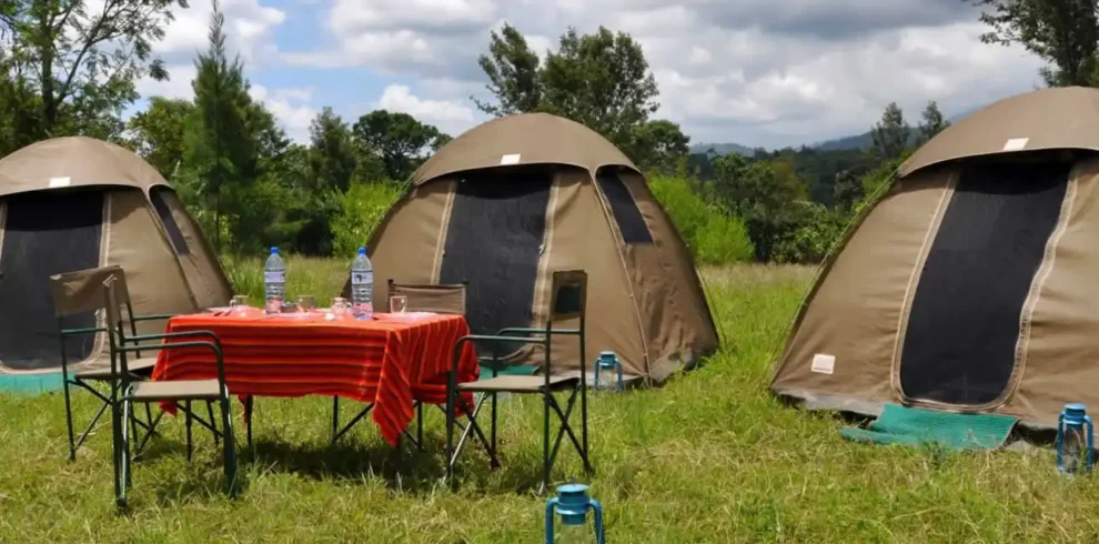 4-Day Ultimate Camping Safari in Tanzania