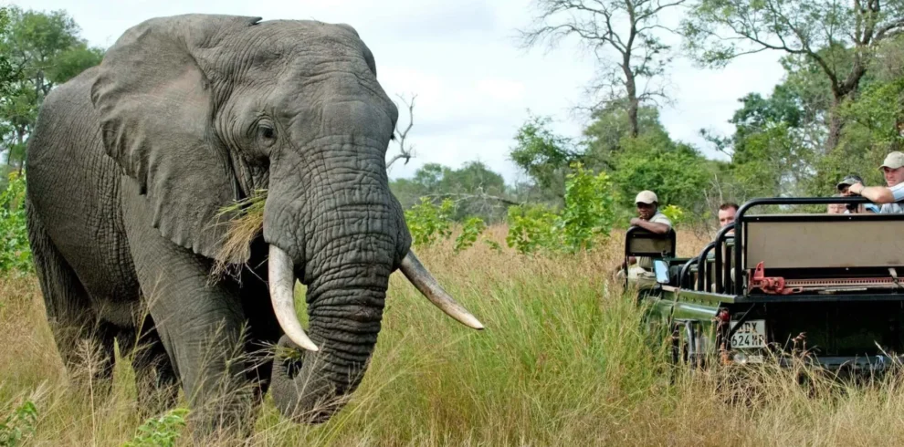 5-Day Southern Tanzania Safari