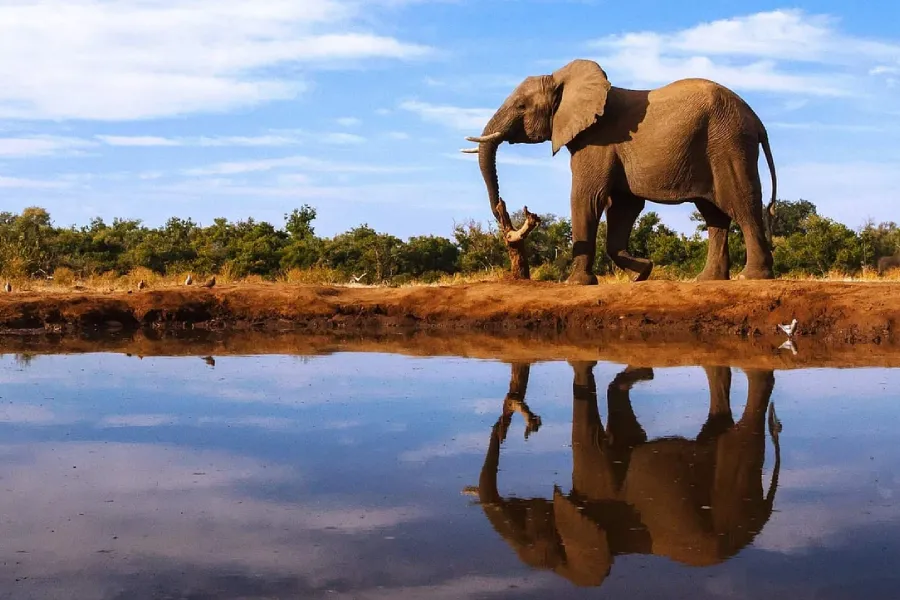 6-Day Call of Wildlife Safari in Tanzania