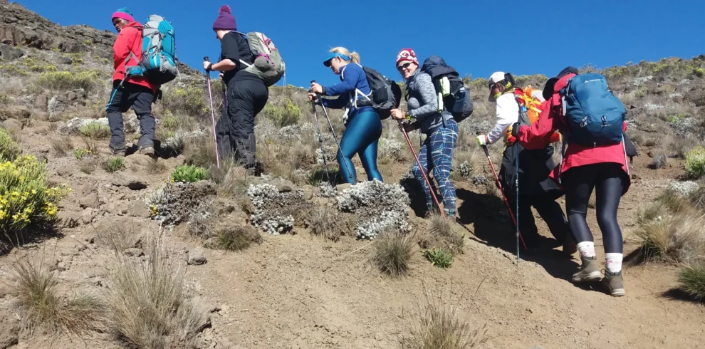 6 Day Kilimanjaro Rongai route