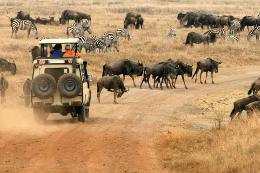 6-Days Wildebeest Migration Safari In Tanzania