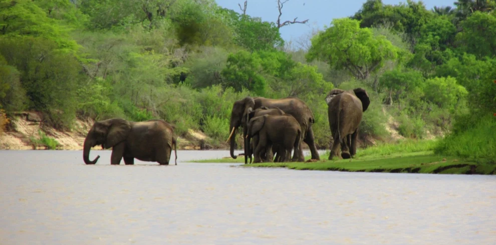 8-Day Nyerere National Park (Selous) And Zanzibar Packages