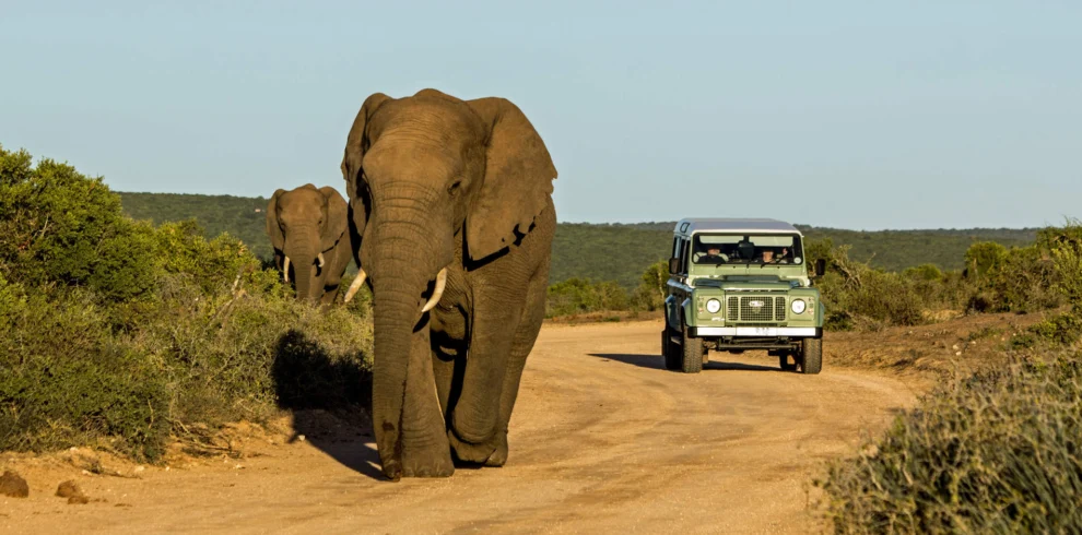 8-Day Southern Adventure Safari