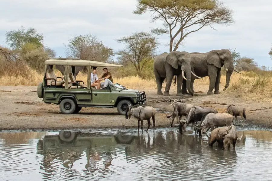8-Day Southern Adventure Safari