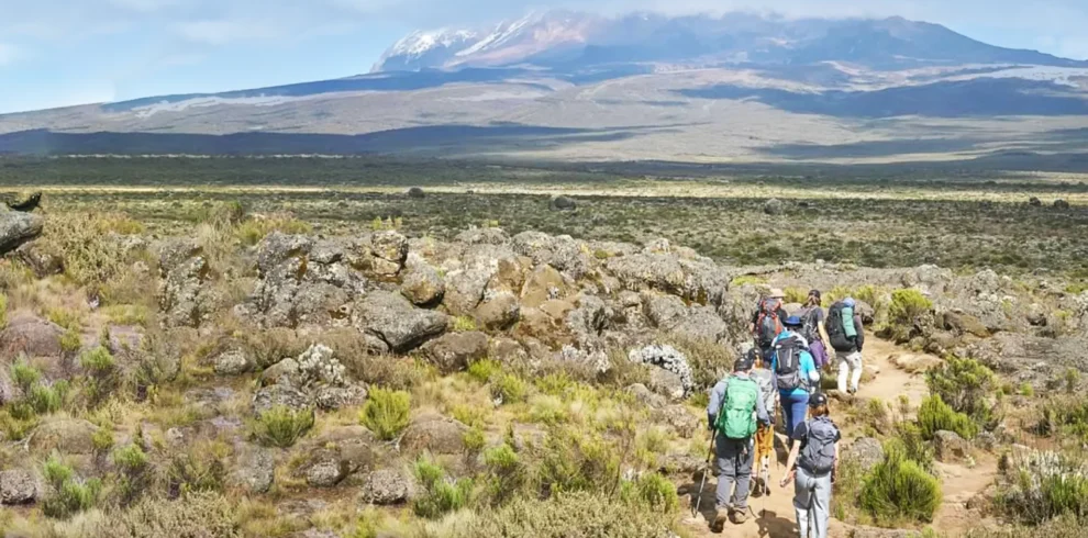 8-days Mount Kilimanjaro Treks via Lemosho route + 2 nights hotel stay