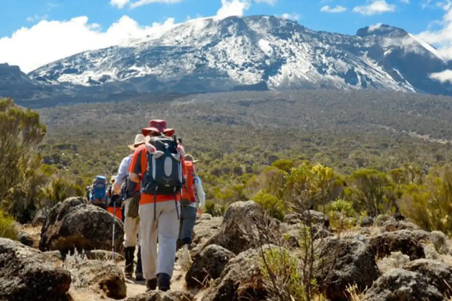 8-days Mount Kilimanjaro Treks via Lemosho route + 2 nights hotel stay