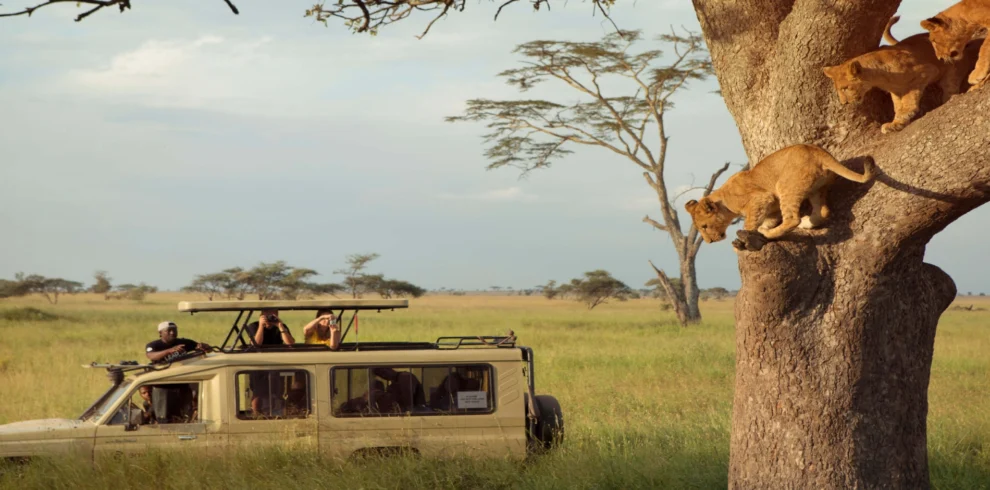 8 Days Signature Tanzania Premium