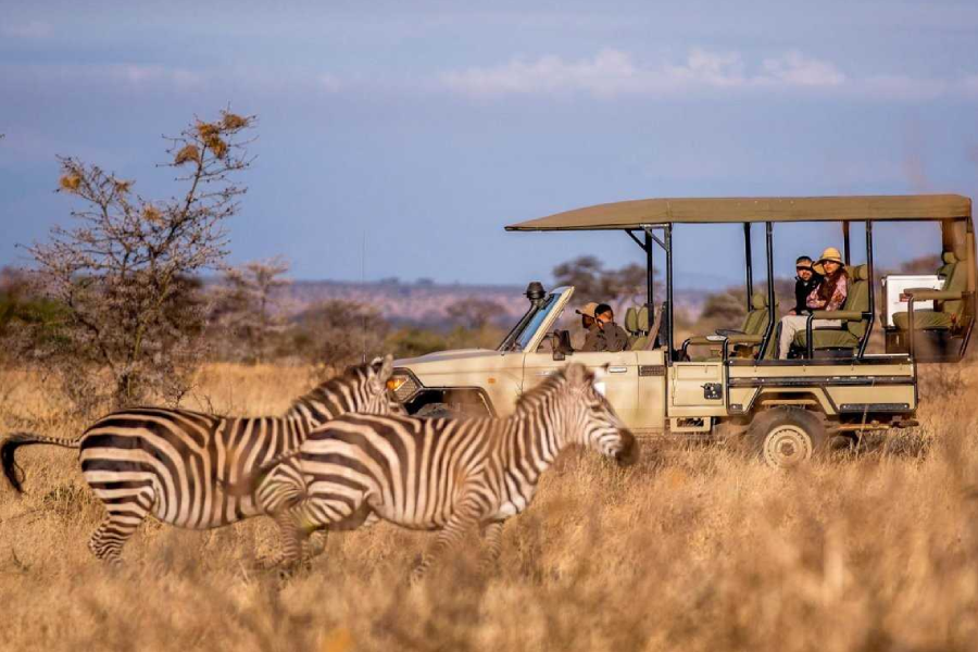 8 Days Zanzibar Beach Holiday and Safari Mikumi National Park, Tanzania