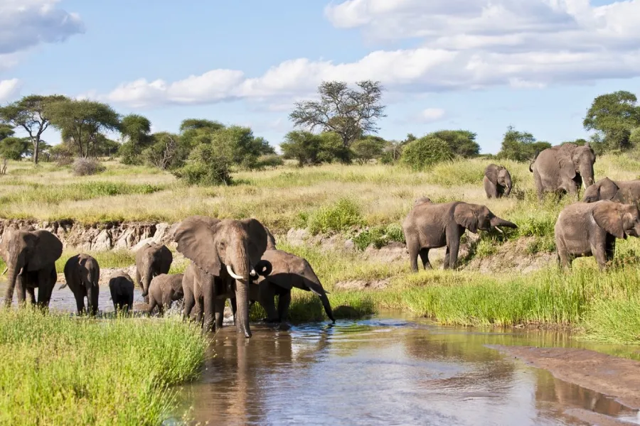 9-Day Adventure Safari in Tanzania