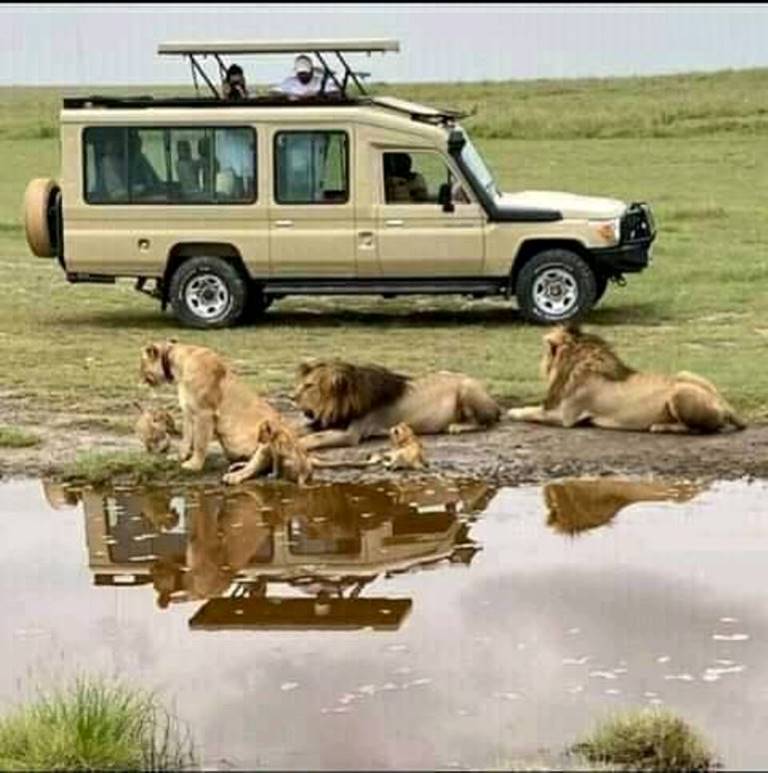 Tanzania safari car