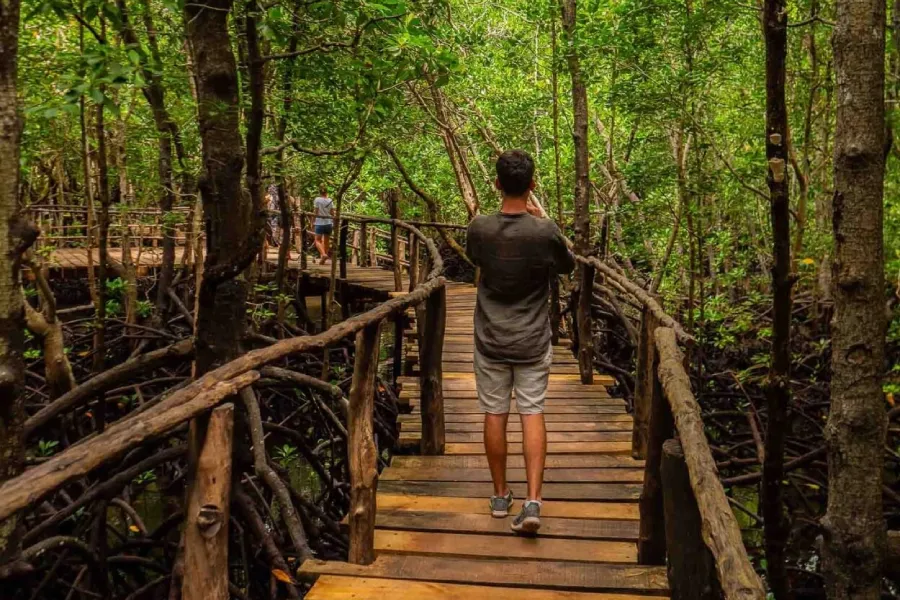 Jozani forest walking tour