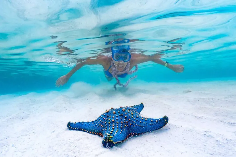 Kuza Cave, Blue Lagoon, Starfish Tour