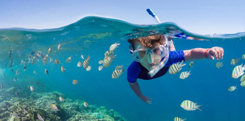 Mnemba Island, Snorkeling and Sunset Dhow Cruise Trip