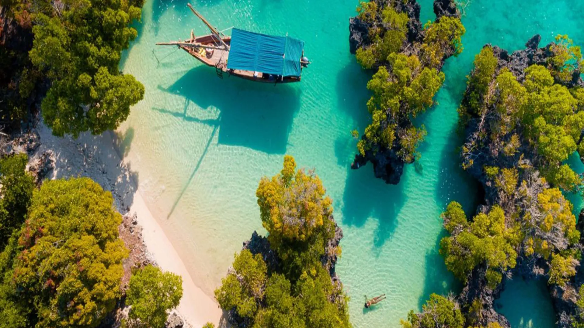 Prison Island & Nakupenda Sandbank trip