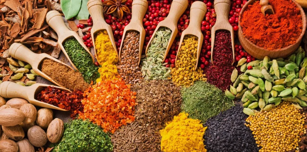 Spice Farm Tour Zanzibar