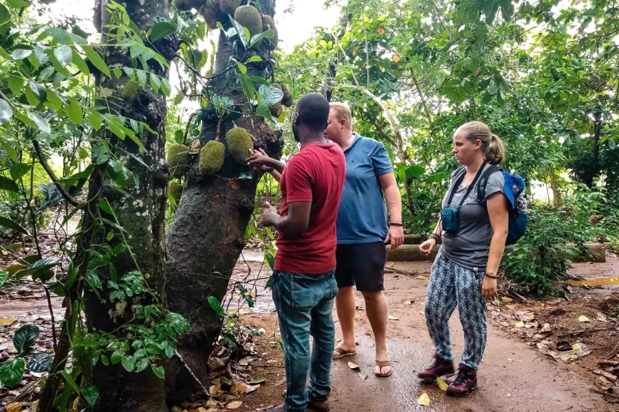 Spice Farm Tour Zanzibar