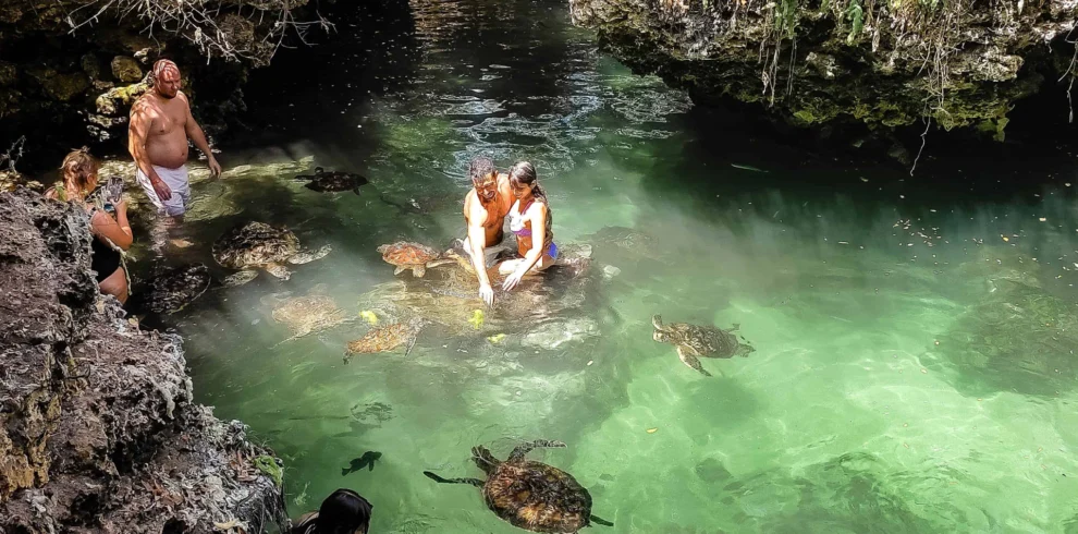 Swimming with turtles Zanzibar