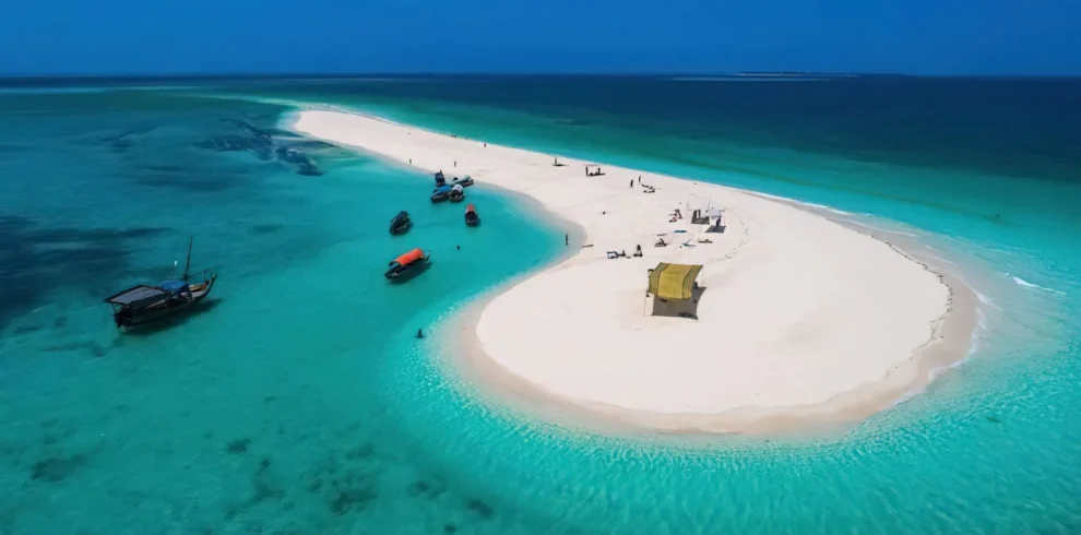 Zanzibar safari blue trip