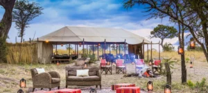 Best Safari Camps in Serengeti National Park