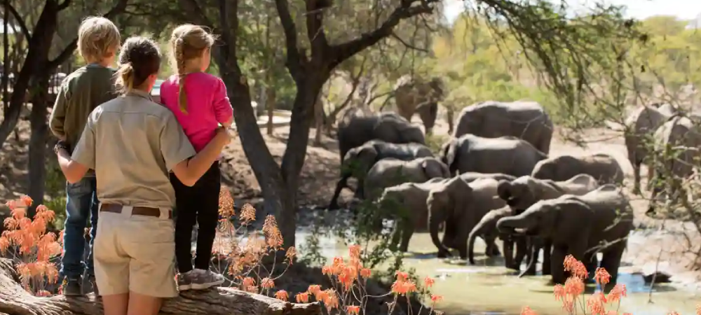 Family-Friendly Safari Tours in Tanzania