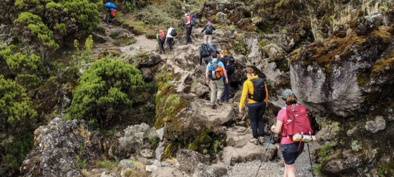 How Long Does It Take to Climb Kilimanjaro?