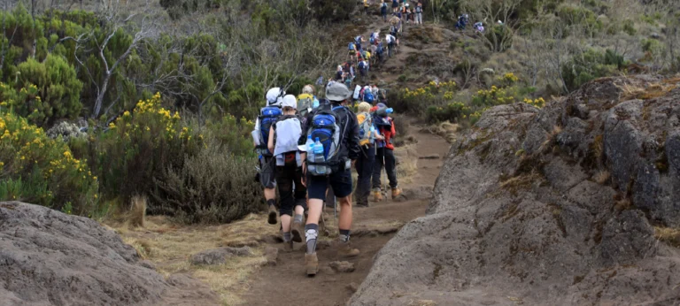 Kilimanjaro Climbing Mistakes to Avoid