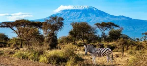 Kilimanjaro National Park Fees Explained