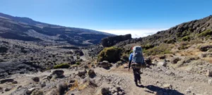 Kilimanjaro Routes Compared: Marangu vs Machame vs Lemosho