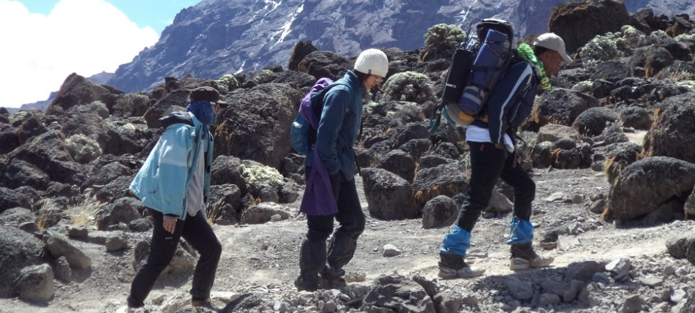 Kilimanjaro Training Plan for Beginners