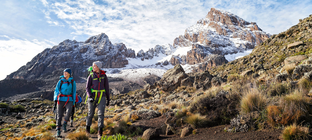 Kilimanjaro vs Mount Kenya: Which to Climb?