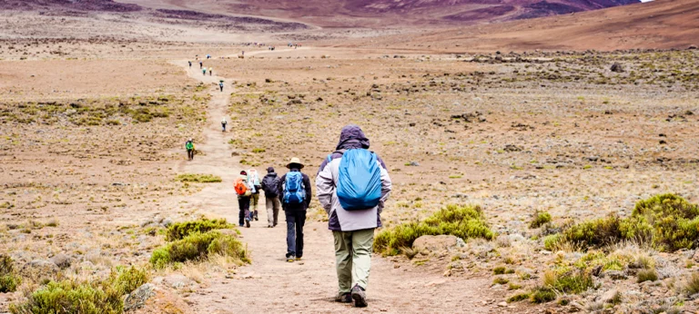 Lemosho Route: The Best Route for Acclimatization