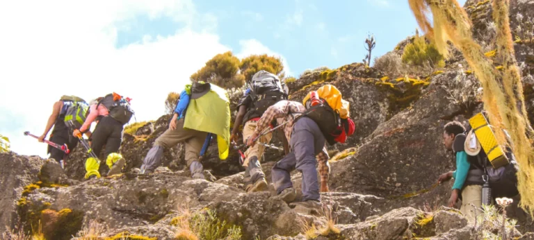 Machame-Route_-Complete-Kilimanjaro-Guide