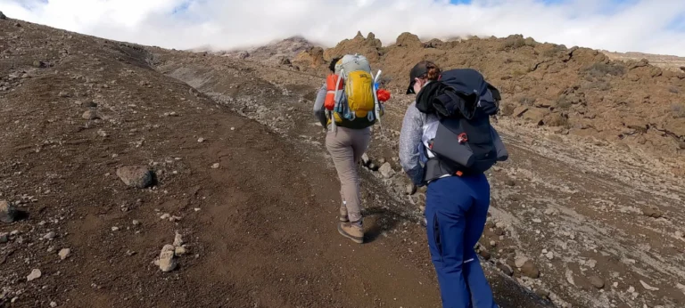 Northern Circuit Route: Ultimate Kilimanjaro Experience