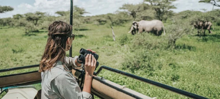 Private Safari vs Group Safari in Tanzania