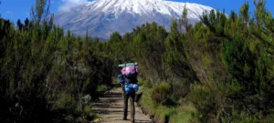 Rongai Route: Quiet Kilimanjaro Route Explained