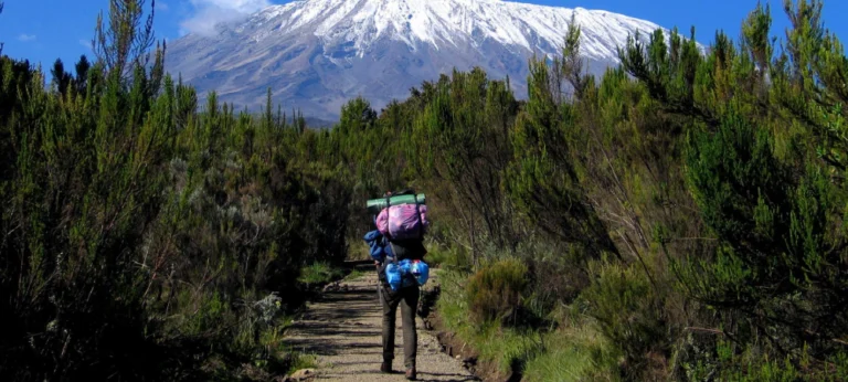 Rongai Route: Quiet Kilimanjaro Route Explained