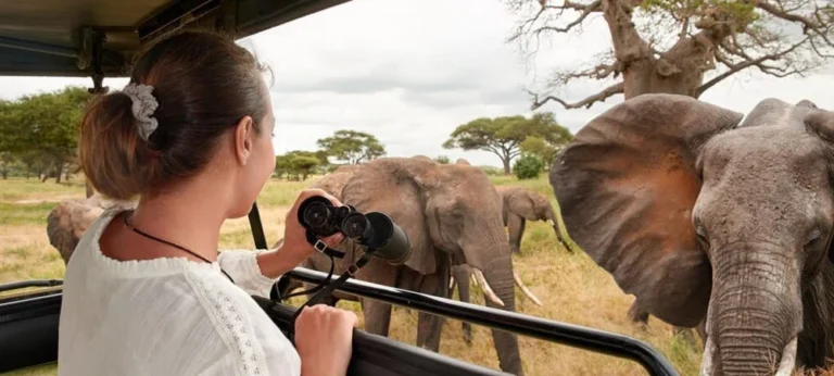 Tanzania Safari Best Deals & Offers