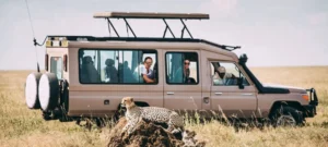 Tanzania Safari Cost Breakdown_ Budget to Luxury