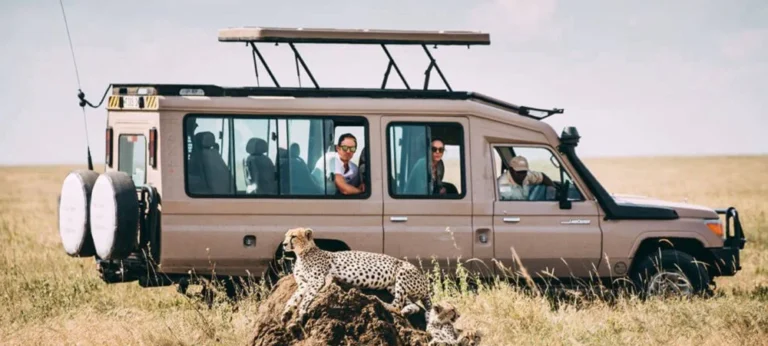 Tanzania Safari Cost Breakdown_ Budget to Luxury